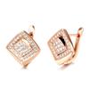 Ins Trendy Zircon Earrings for Women, Fashionable Personality, Simple Design, Diamond Earrings