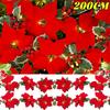 2M 10LED Christmas Poinsettia Flower Garland String Lights with Red Berries Holly Leaves Battery Powered Lighting Strings 10 Leds