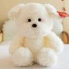 Creative New Style Jumping Dog Doll Texture Super Soft Pillow Teddy Dog Doll Grab Machine Doll Gift