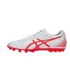 Ds Light Club Stylish And Attractive Synthetic Leather Soccer Shoes Men Soccer Shoes 1103A027-108