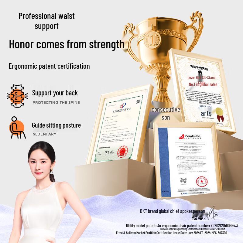 BKT Ergonomic Lumbar Support Cushion