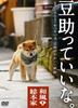 DVD  - Wafuku Sohonke Mamesuke Is Great.  POBD25020 Japan Movies & DVD Used