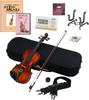 Hallstatt Violin Set with Instruction Book DVD 10-piece & V-22