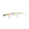 SHIMANO Exsence Silent Assassin 160F Kyorin CC 010 Saltwater Minnow for Sea and Embankments XM-116S Lure, Bass, Rivers, Surf,