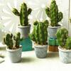 Artificial Cactus Succulents Prickly Pear Potted Plant Pot Eco-Friendly Simulation Home Office Desktop Decoration Hot