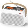 DAB FM Portable Radio with Bluetooth, Shortwave Transistor Radio with Best Reception,Digital LED Screen,Rechargeable Battery,White Noise,Alarm Clock