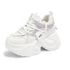 Sports Dad Shoes Mesh Thick Sole Showing Feet Small Inner Height Increase Women's Shoes Versatile Casual Ins Tide White Shoes Explosion