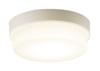 Ceiling Light for Washroom LSEW4063LE1 Light Bulb Color Depth Height Width Body 26.5cm Body 11.8cm Body 26.5cm