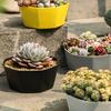 1 Set Flower Pot Solid Construction Large Capacity Resin Indoor Succulents Large Diameter Flower Pot for Home