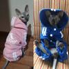 Cute Cat Sweater Hoodie Winter Warm Pet Clothes for Cats Sphynx Katten Clothing Outfit Ropa Para Gatos Kedi Giyim Pets Products