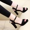 Fashion Sandals Women Ankle Strap Summer Shoes Female Plus Size Block Heels Women Shoes 2019 Casual Sandals Heels