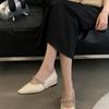 French Pointed Silver Mary Jane Single Shoes Women's Shoes 2025 New Spring and Autumn Evening Ladyshoes