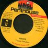 7inch Record TERROR FABULOUS - Order PNS1365 Penthouse Recor 1992 Jamaica Reggae, Ska & Dub Used