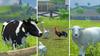Farming Simulator Xbox 360 -