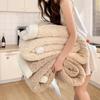 Solid Color Winter Lamb Wool Double Layer Jacquard Velvet Blanket