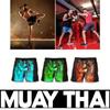 Animation Drawing Dragon Boxing Muay Thai Shorts Pants 3D Print Training Unisex Men Women Quick Dry Fitness Gym Sport Workout Casual Streetwear