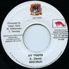 7inch Record MAD ANJU - My Youth Mad Dawgs 2000 Jamaica Reggae, Ska & Dub
