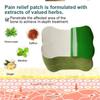 Lumbar Spine Pain Relief Patches Relieve & Inflammation Pain Instantly Health Care