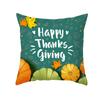 Thanksgiving Pillowcase Wish New Product Cartoon Pumpkin Turkey Peach Skin Printed Pillowcase Sofa Cushion