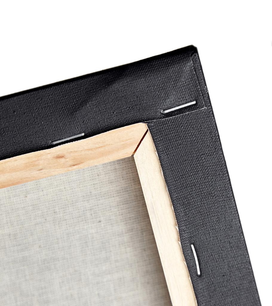 Canvas Print Pop Art Portrait General Bird