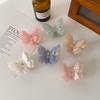 Elegant Butterfly Claw Clip: Double-Layer Acetate Hair Clip for Stylish Updos