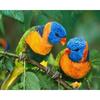 Diamond Embroidery Mosaic Animal Parrot Cross Stitch 5D DIY Diamond Painting Craft Kit Home Rhinestones Gift Decorati