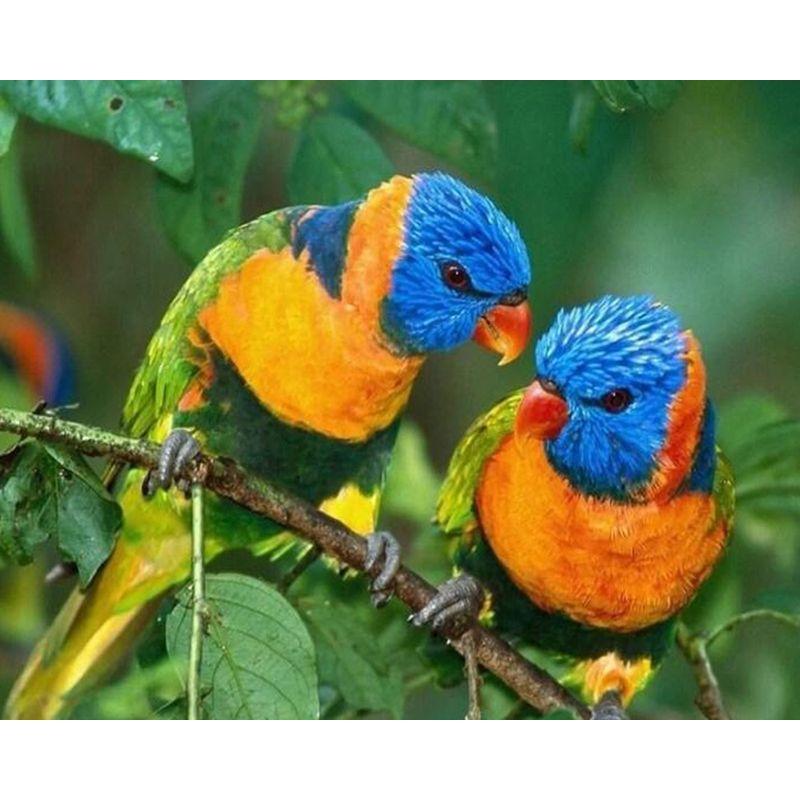 Diamond Embroidery Mosaic Animal Parrot Cross Stitch 5D DIY Diamond Painting Craft Kit Home Rhinestones Gift Decorati