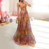 Women Evening Dress Mesh Colorful Printing Low-cut Sleeveless Backless Spaghetti Strap Pleated A-line Floor Length