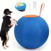 Inflatable Big Ball, Dog Toy Ball for Anti-Boredom, Golden Hair Bear Ball, Hi Pet Training Ball, Bulldog Polo, Australian Shepherd Polo