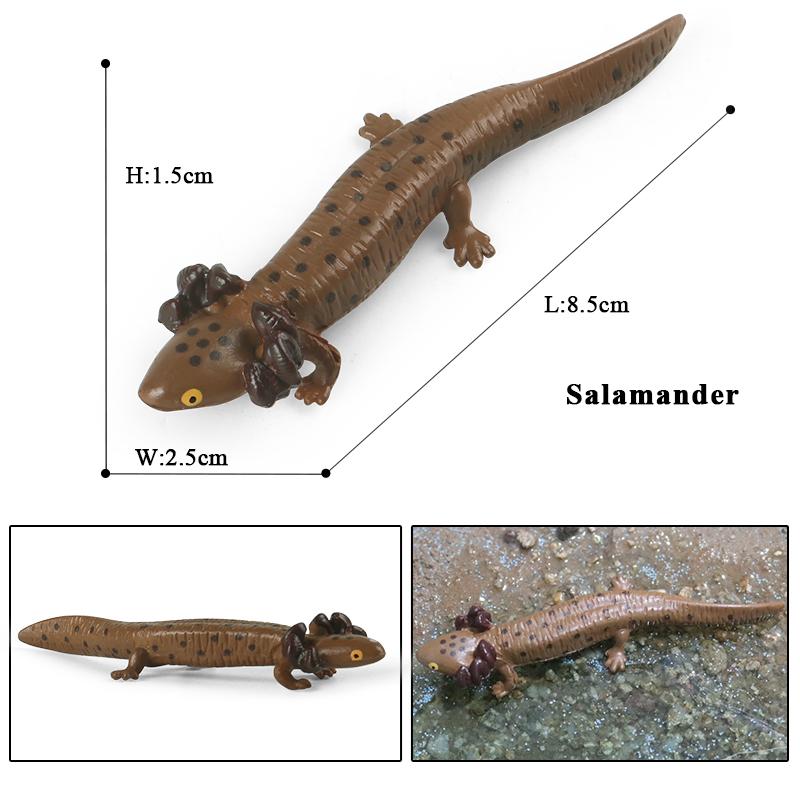 Oenux Simulation Dragonfly Grasshopper Centipede Wild Insect Animals Model Action Figures Miniature Education Collection Kid Toy