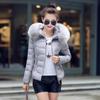 Winter and Autumn Winter Short Style Women Wear Parkas Outwear Women Coats Artificial Raccoon Fur Collar Winter Jacket