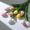 2 Bunch of PU Simulation Tulips