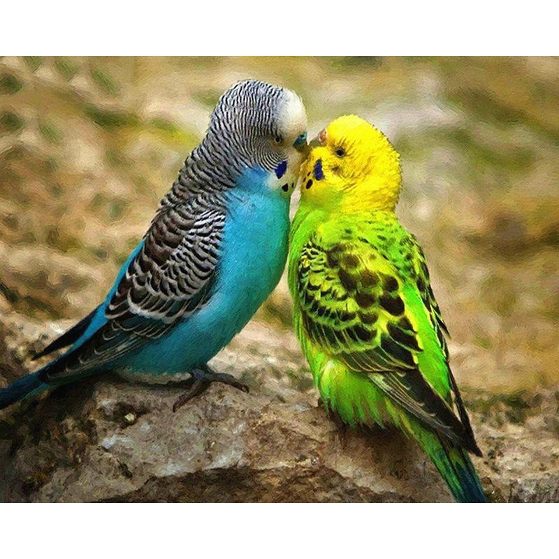 Diamond Embroidery Mosaic Animal Parrot Cross Stitch 5D DIY Diamond Painting Craft Kit Home Rhinestones Gift Decorati