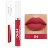 DNM 19 Colour Matte Lip Gloss Waterproof Long Lasting Non-Fading Lip Glaze Multicolour Non-Stick Lipstick