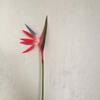 Nearly Wedding Home Decor Long Stem Silk Crane Latex Flowers Artificial  Flowers Tropical Flowers