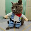 Cat Clothes Funny Cosplay Cowboy Costume For Small Medium Dogs Cats Puppy Outfits Novelty Kitten Dress Up Outfits Pet Supplies