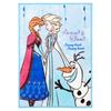 Un Doudou Fluffy Baby Blanket 85 X 115cm Disney Frozen Newmeyer Warm Material Blanket Nz2000-fr