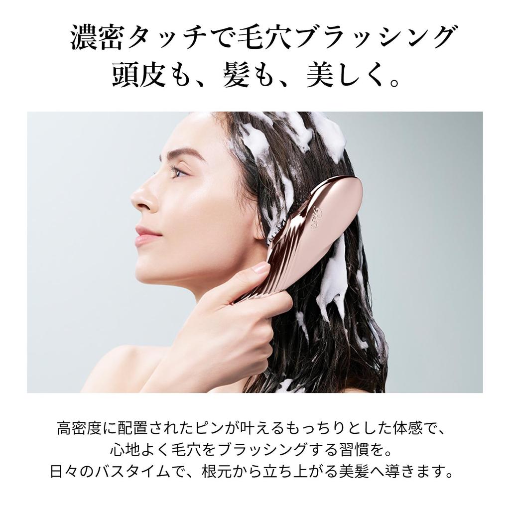 ReFa ION CARE BRUSH PREMIUM Black