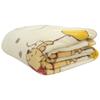 Revere Disney Winnie the Pooh Blanket Single Blanket Newmeyer Blanket Warm Warm Washable Cute Showa Nishikawa