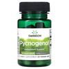 Pycnogenol, Super Strength, 150Mg, 30 Veggie Caps