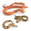 Simulated Reptile Snake Model Corn Snake Rattlesnake Red-Tailed Snake Tricky Desktop Static Ornament Toy