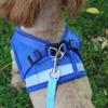 Reflective Safety Pet Dog Harness and Leash Set for Small Medium Dogs Cat Harnesses Vest Puppy Chest Strap