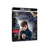 Les Animaux Fantastiques Blu-ray 4K Ultra HD