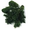 Dark Green Iceland Moss 1 Kg
