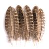 80 Natural Pheasant Feather Decorative Diy Jewelry Hair Accessories Material Cat Stick Toy Accessories
