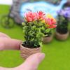 1/12 Dollhouse Simulation Mini Flower Potted Model Doll Potted Plants Home Decoration Micro Landscape Garden Bonsai Ornament