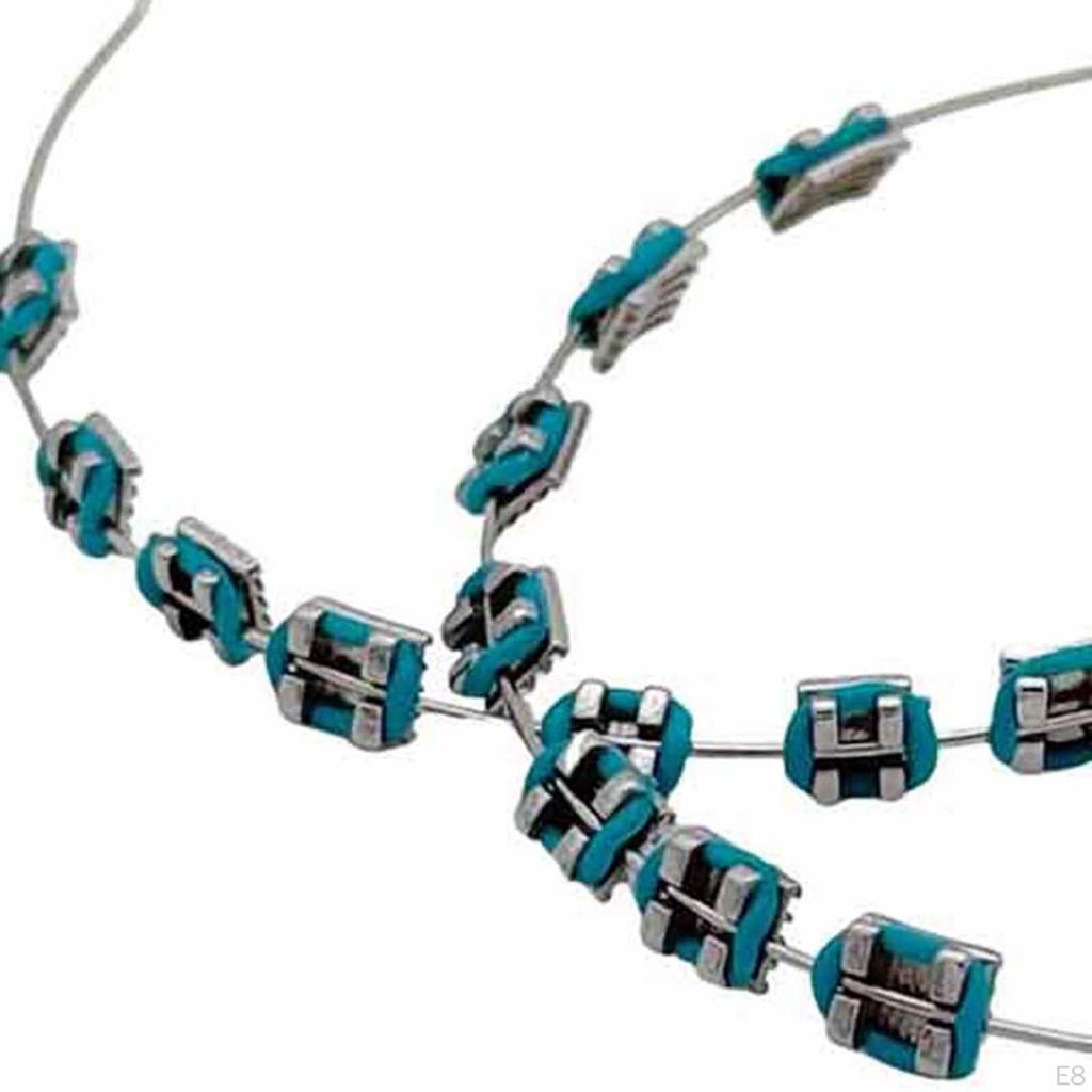 Temporary Tooth Decoration with Case for Classroom Instruction Fashion Brace