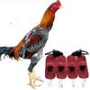 4pcs Rooster Cocks Mitt Para Gallos Hen Helmet Fighting Protection Farm Animals Chicken Coop Supplies Accessories
