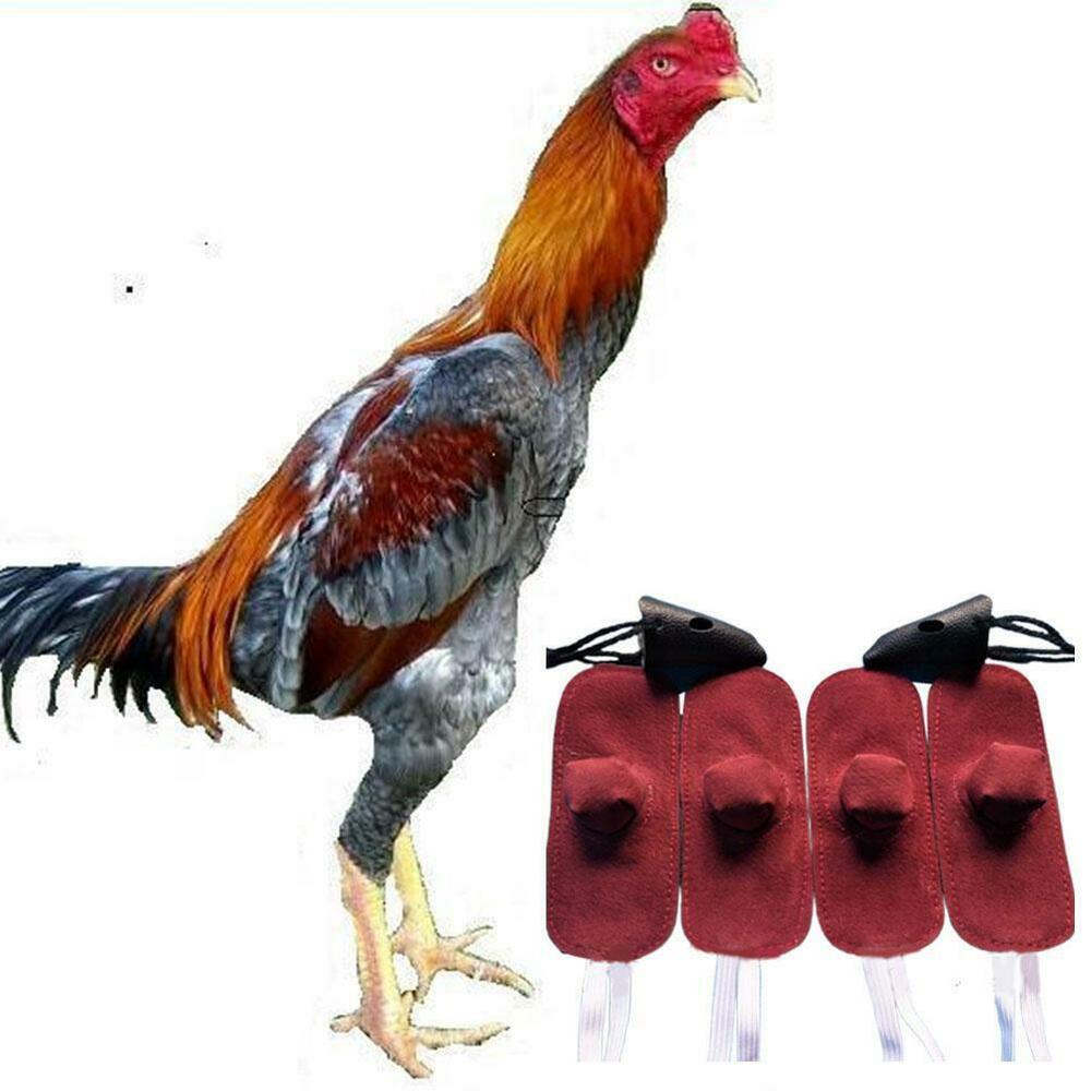 4pcs Rooster Cocks Mitt Para Gallos Hen Helmet Fighting Protection Farm Animals Chicken Coop Supplies Accessories