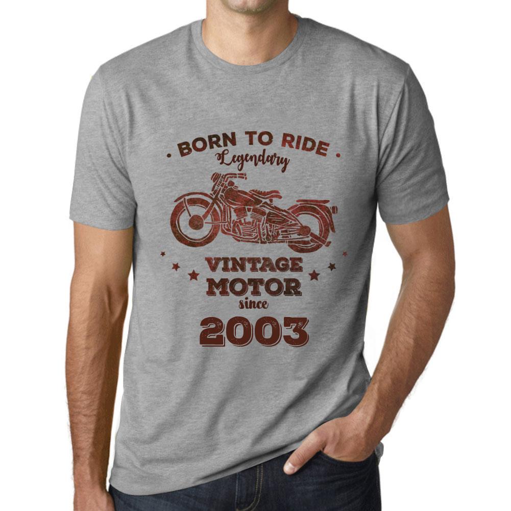 Men's Vintage Tee Shirt Graphic T Shirt Easy Rider Since 2003 Grey Marl